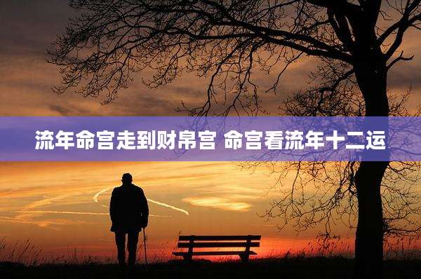 流年命宫走到财帛宫 命宫看流年十二运