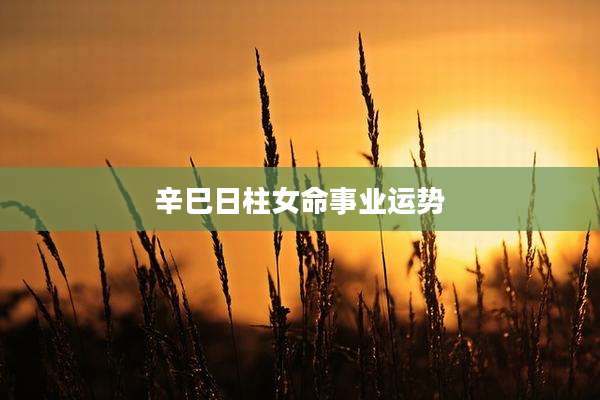 辛巳日柱女命事业运势