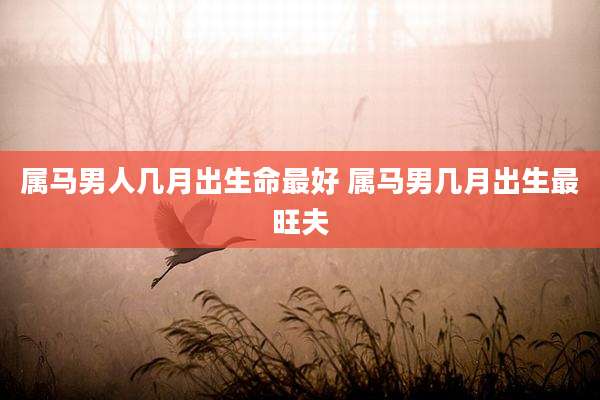 属马男人几月出生命最好 属马男几月出生最旺夫