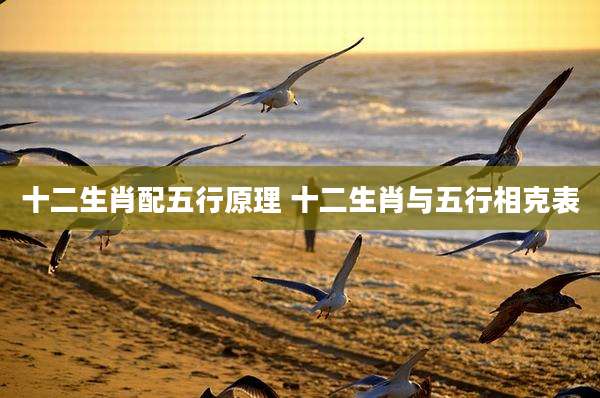 十二生肖配五行原理 十二生肖与五行相克表