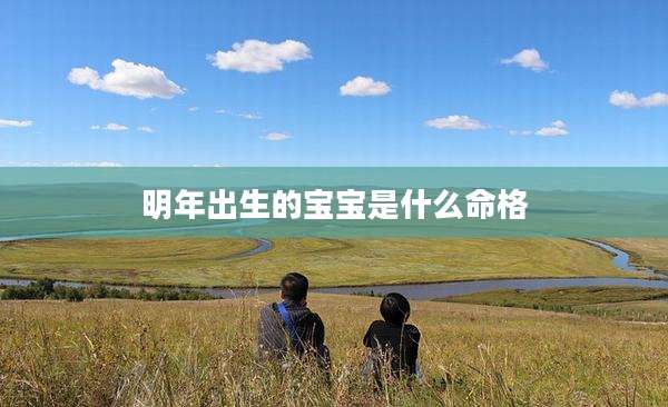 明年出生的宝宝是什么命格