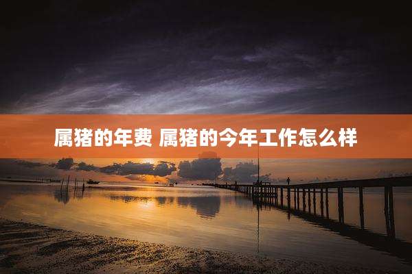 属猪的年费 属猪的今年工作怎么样