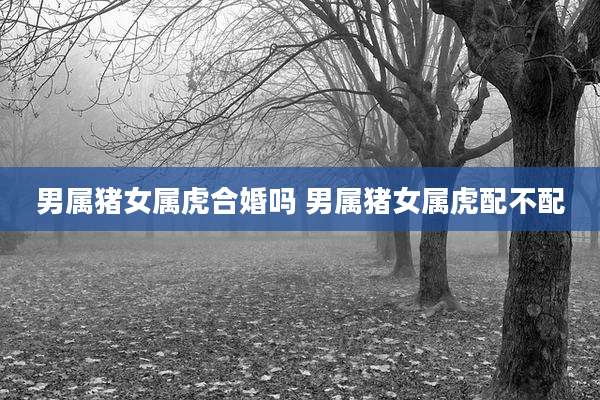 男属猪女属虎合婚吗 男属猪女属虎配不配