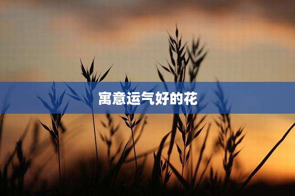 寓意运气好的花
