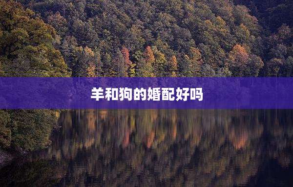 羊和狗的婚配好吗