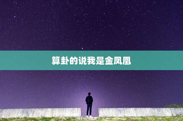 算卦的说我是金凤凰