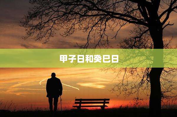 甲子日和癸巳日