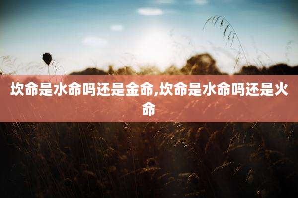 坎命是水命吗还是金命,坎命是水命吗还是火命