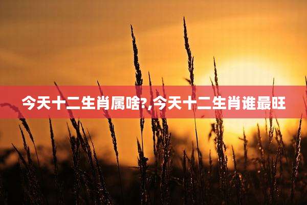 今天十二生肖属啥?,今天十二生肖谁最旺