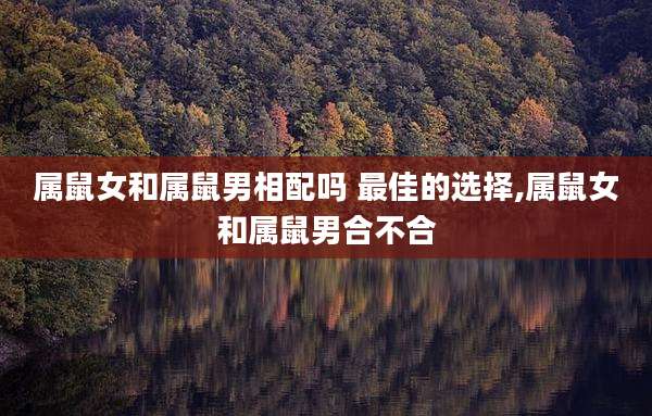 属鼠女和属鼠男相配吗 最佳的选择,属鼠女和属鼠男合不合