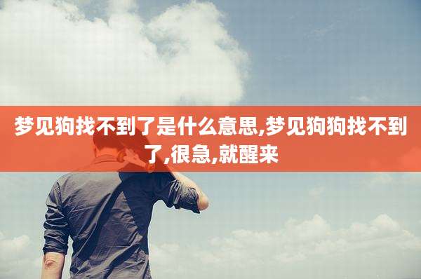 梦见狗找不到了是什么意思,梦见狗狗找不到了,很急,就醒来
