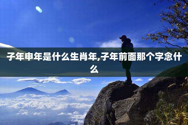 子年申年是什么生肖年,子年前面那个字念什么