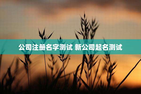 公司注册名字测试 新公司起名测试