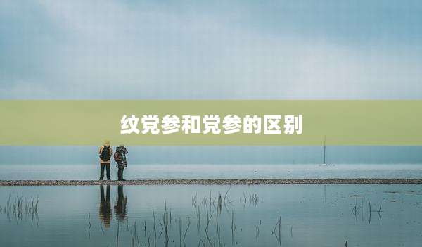 纹党参和党参的区别