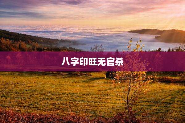 八字印旺无官杀