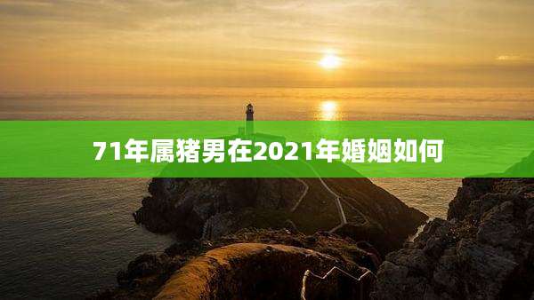 71年属猪男在2021年婚姻如何