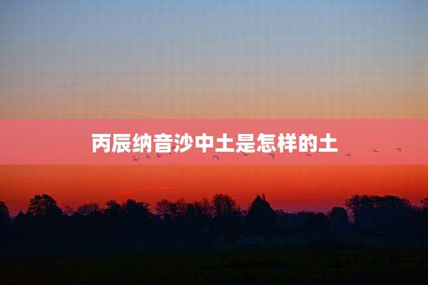 丙辰纳音沙中土是怎样的土