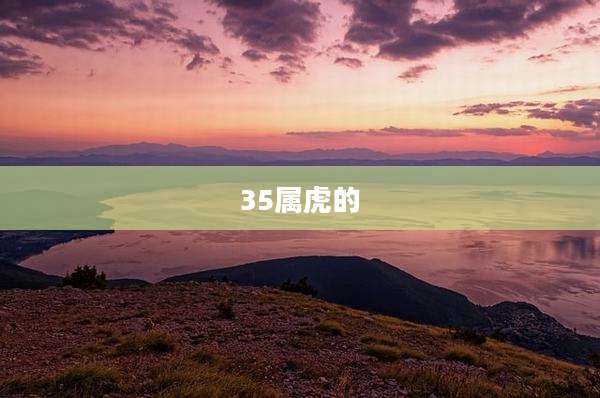 35属虎的