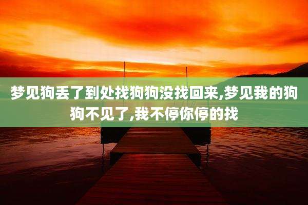 梦见狗丢了到处找狗狗没找回来,梦见我的狗狗不见了,我不停你停的找