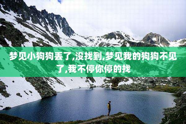 梦见小狗狗丢了,没找到,梦见我的狗狗不见了,我不停你停的找