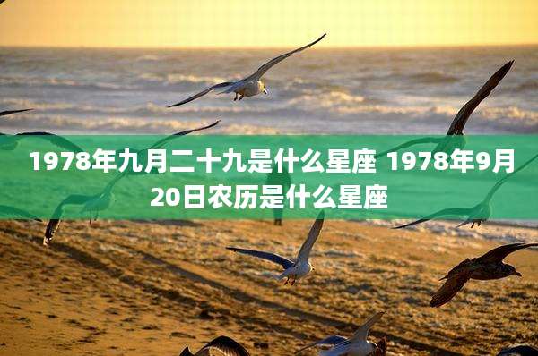 1978年九月二十九是什么星座 1978年9月20日农历是什么星座