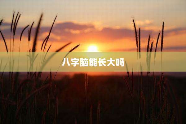 八字脑能长大吗