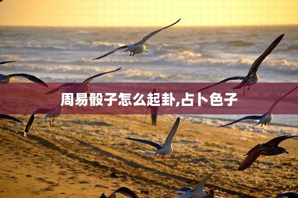 周易骰子怎么起卦,占卜色子