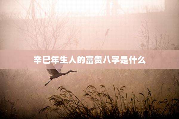 辛巳年生人的富贵八字是什么
