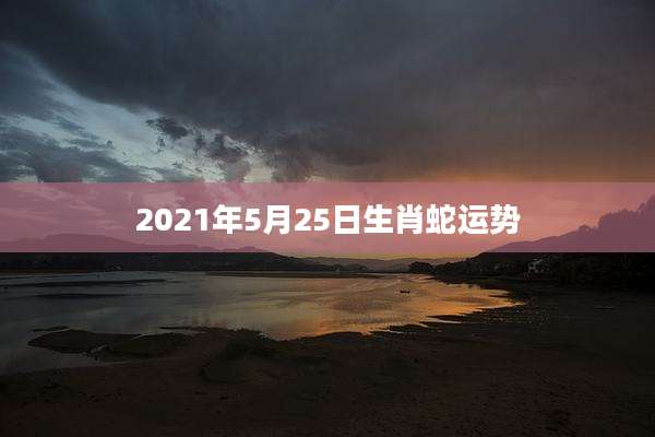 2021年5月25日生肖蛇运势