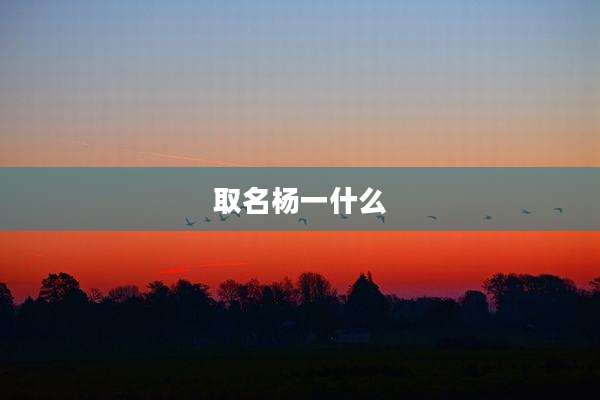 取名杨一什么