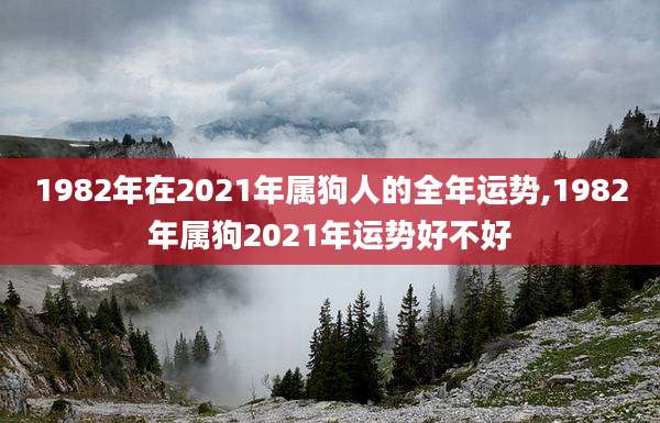 1982年在2021年属狗人的全年运势,1982年属狗2021年运势好不好