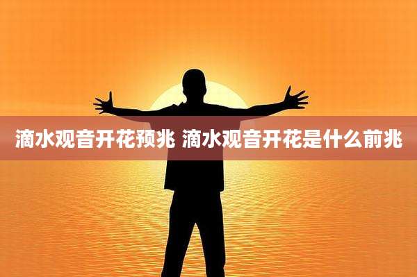 滴水观音开花预兆 滴水观音开花是什么前兆