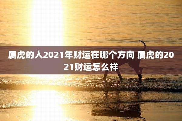属虎的人2021年财运在哪个方向 属虎的2021财运怎么样