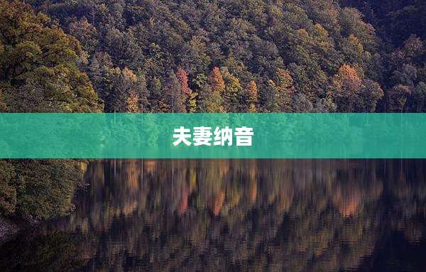 夫妻纳音