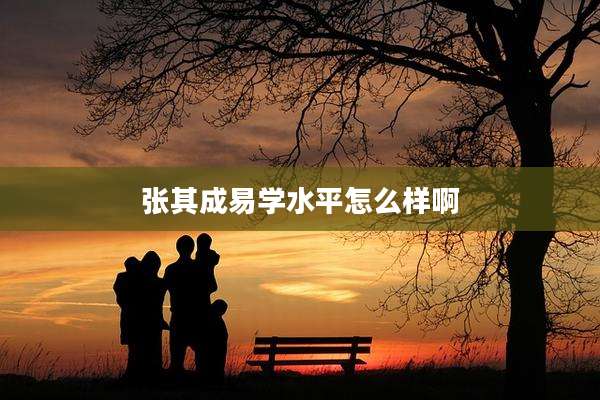 张其成易学水平怎么样啊