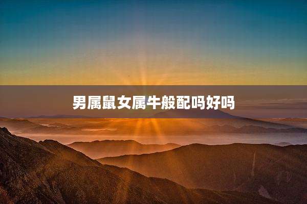 男属鼠女属牛般配吗好吗