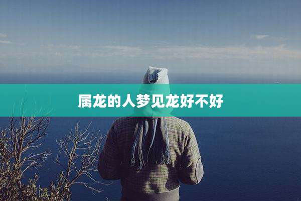 属龙的人梦见龙好不好
