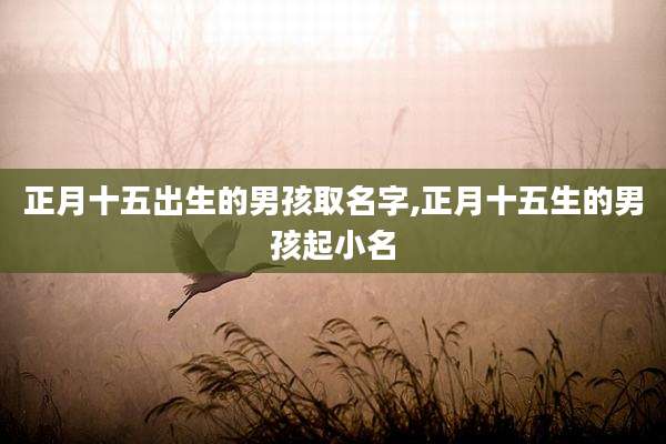 正月十五出生的男孩取名字,正月十五生的男孩起小名