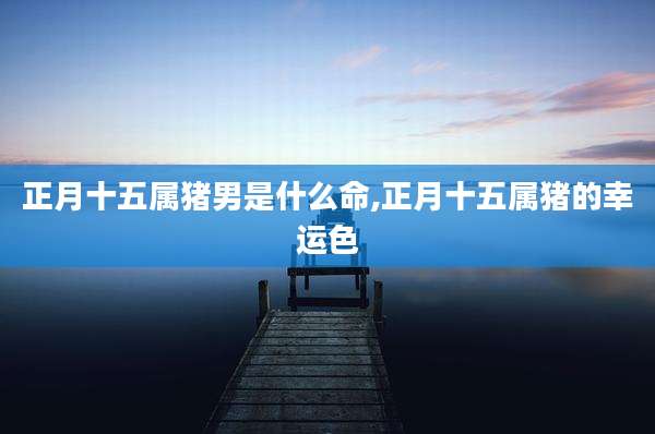 正月十五属猪男是什么命,正月十五属猪的幸运色