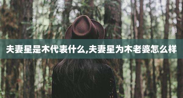 夫妻星是木代表什么,夫妻星为木老婆怎么样