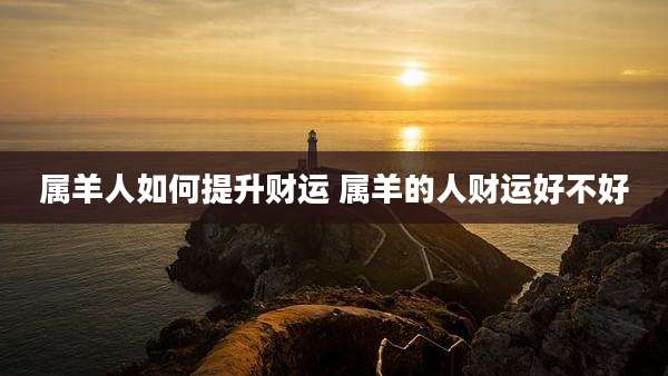 属羊人如何提升财运 属羊的人财运好不好