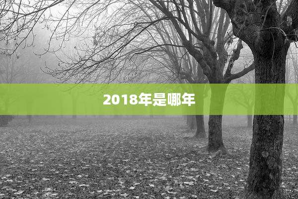 2018年是哪年
