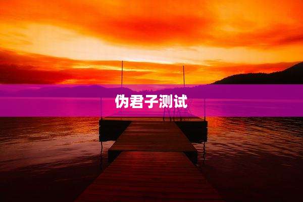 伪君子测试