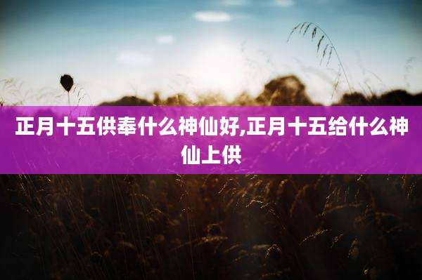 正月十五供奉什么神仙好,正月十五给什么神仙上供