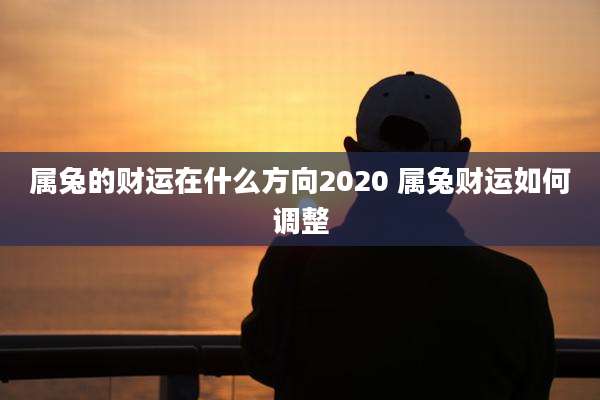 属兔的财运在什么方向2020 属兔财运如何调整