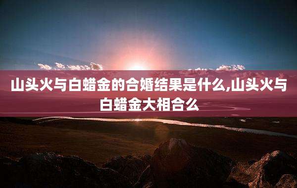 山头火与白蜡金的合婚结果是什么,山头火与白蜡金大相合么