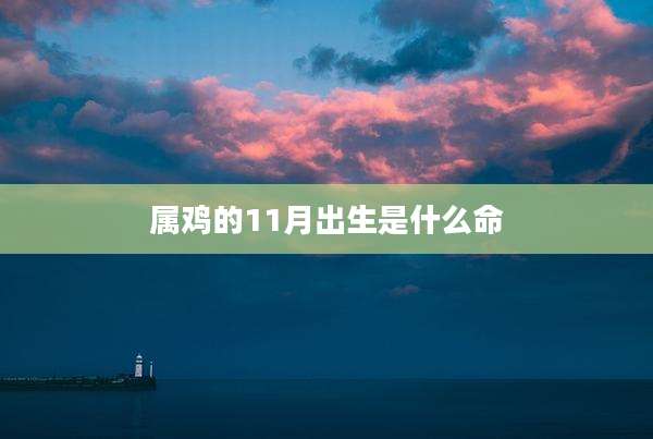属鸡的11月出生是什么命