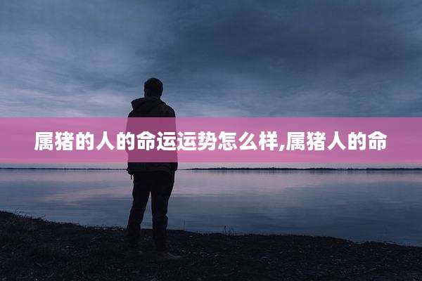 属猪的人的命运运势怎么样,属猪人的命