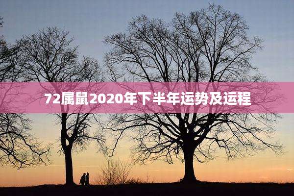 72属鼠2020年下半年运势及运程