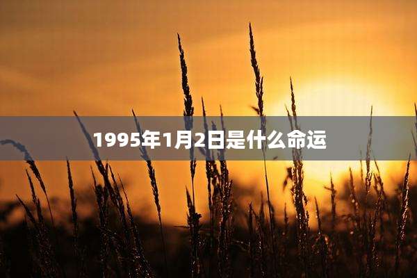 1995年1月2日是什么命运